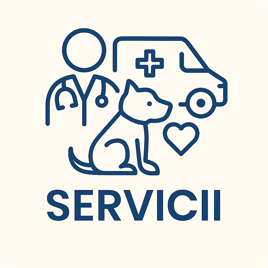 Servicii